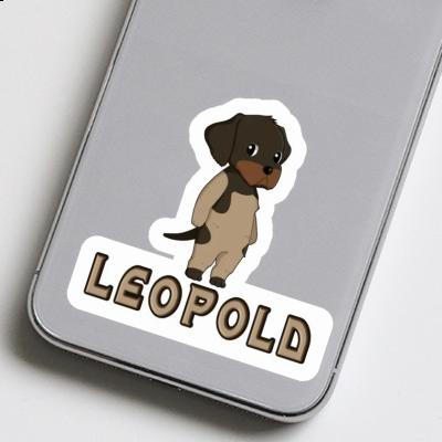 Sticker Deutsch Drahthaar Leopold Laptop Image