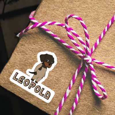 Leopold Sticker German Wirehaired Pointer Image