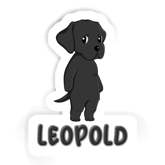 Autocollant Leopold Labrador Retriever Gift package Image