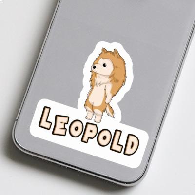 Leopold Aufkleber Collie Gift package Image