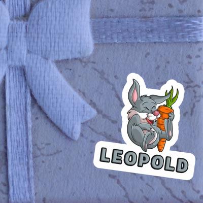 Rabbits Sticker Leopold Gift package Image