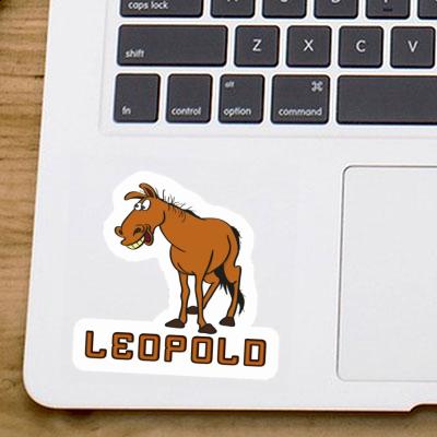 Sticker Leopold Horse Gift package Image