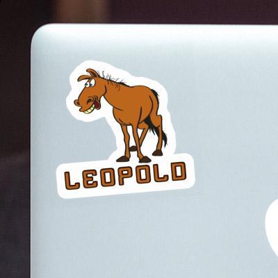 Horse Sticker Leopold Laptop Image