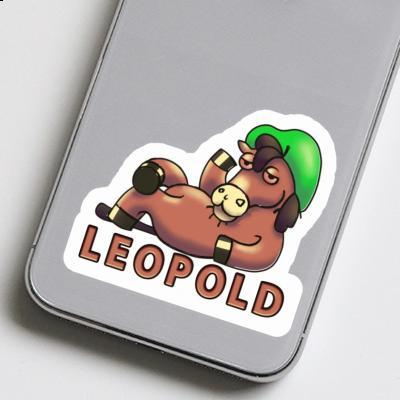 Leopold Sticker Lying horse Gift package Image