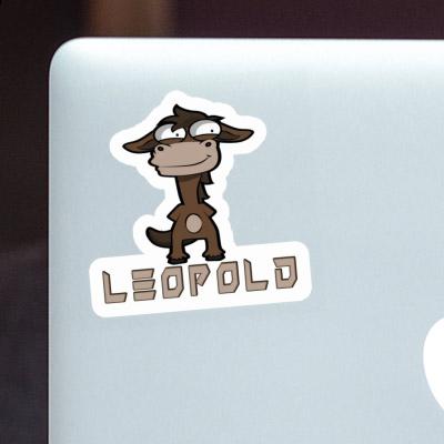 Leopold Sticker Horse Notebook Image