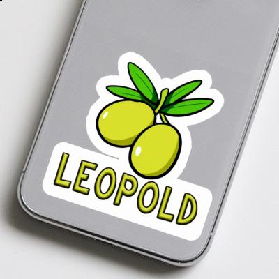 Autocollant Leopold Olive Notebook Image