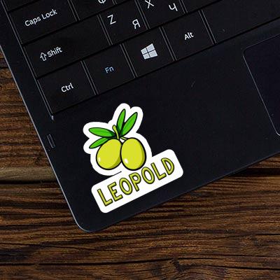 Olive Sticker Leopold Gift package Image