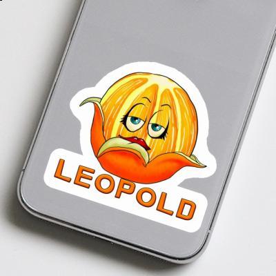 Leopold Sticker Orange Laptop Image