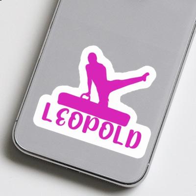 Turner Sticker Leopold Gift package Image