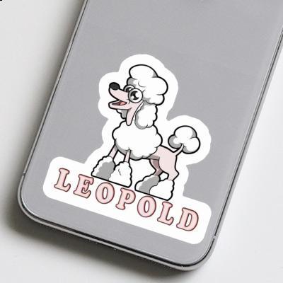 Poodle Sticker Leopold Gift package Image