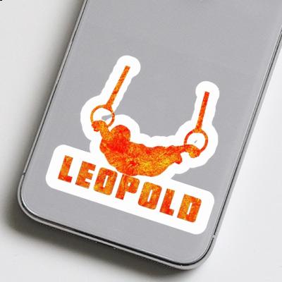 Ringturner Sticker Leopold Gift package Image