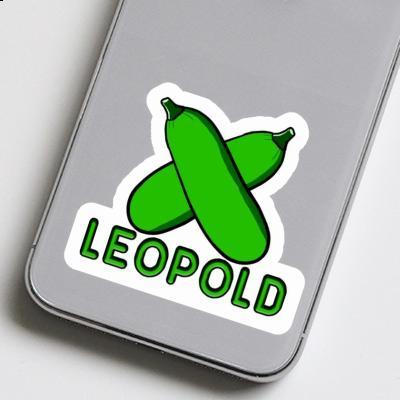 Leopold Sticker Zucchini Notebook Image