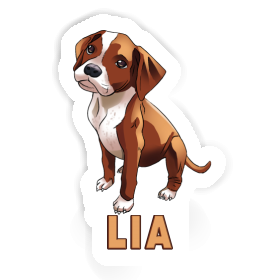 Lia Sticker Boxer Image