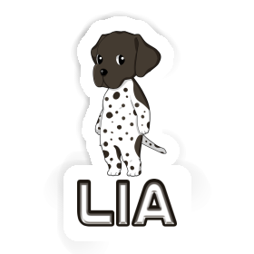 Sticker Lia German Shorthaired Pointer Image