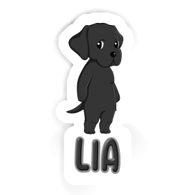 Aufkleber Labrador Retriever Lia Image