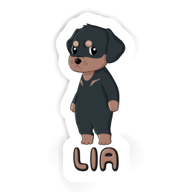 Lia Autocollant Rottweiler Image