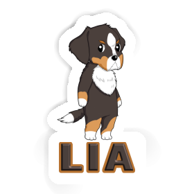 Sticker Bernese Mountain Dog Lia Image