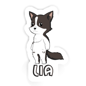 Sticker Lia Border Collie Image