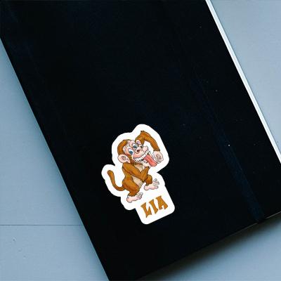 Ape Sticker Lia Gift package Image