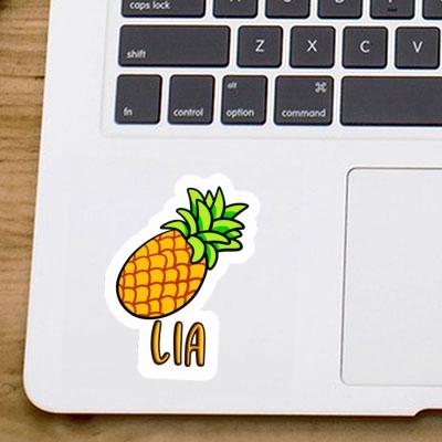 Lia Sticker Pineapple Gift package Image