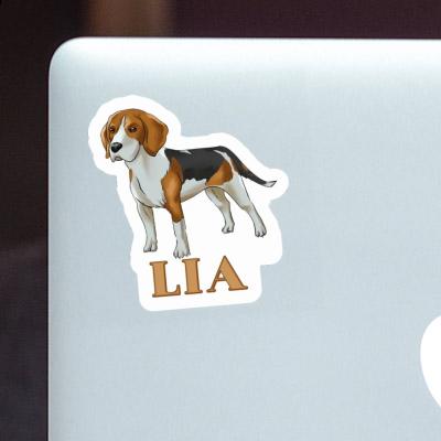 Sticker Lia Beagle Hund Gift package Image