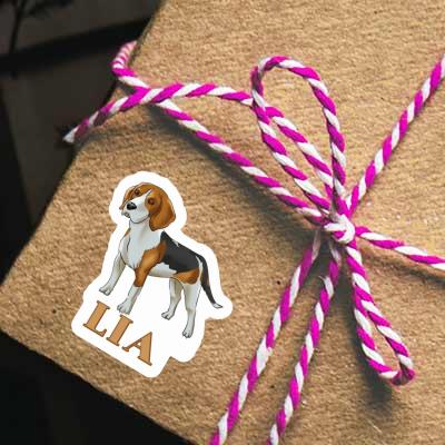 Sticker Lia Beagle Gift package Image