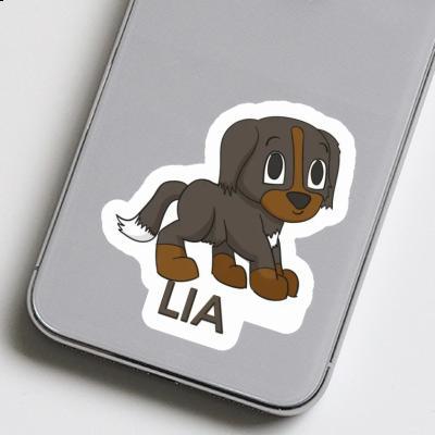 Sticker Mountain Dog Lia Laptop Image