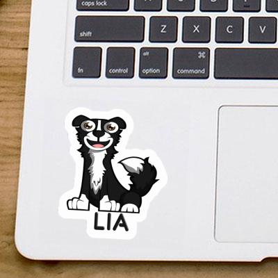 Sticker Border Collie Lia Gift package Image