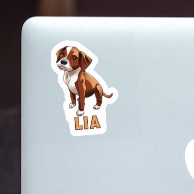 Lia Sticker Boxer Gift package Image