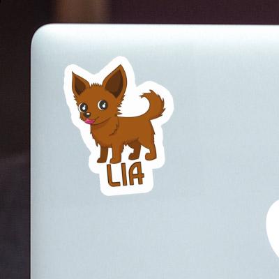 Autocollant Chihuahua Lia Notebook Image