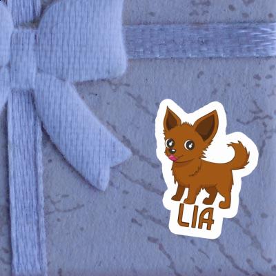 Sticker Lia Chihuahua Laptop Image