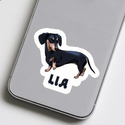 Dackel Sticker Lia Gift package Image