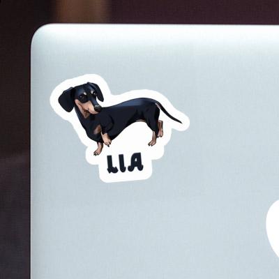 Dachshund Sticker Lia Gift package Image