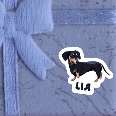 Dackel Sticker Lia Gift package Image