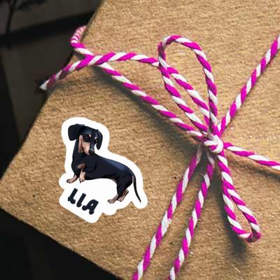 Dachshund Sticker Lia Laptop Image