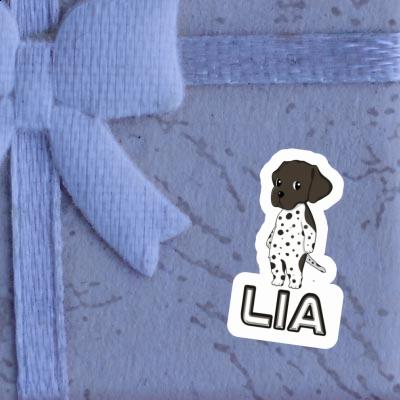 Sticker Lia German Shorthaired Pointer Gift package Image