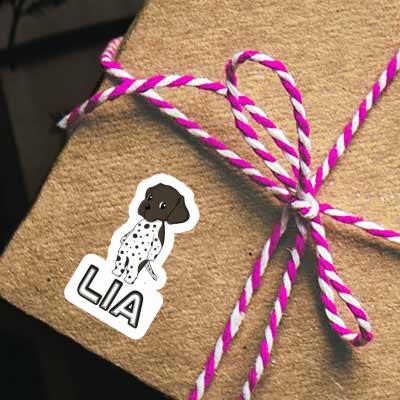 Sticker Lia German Shorthaired Pointer Gift package Image