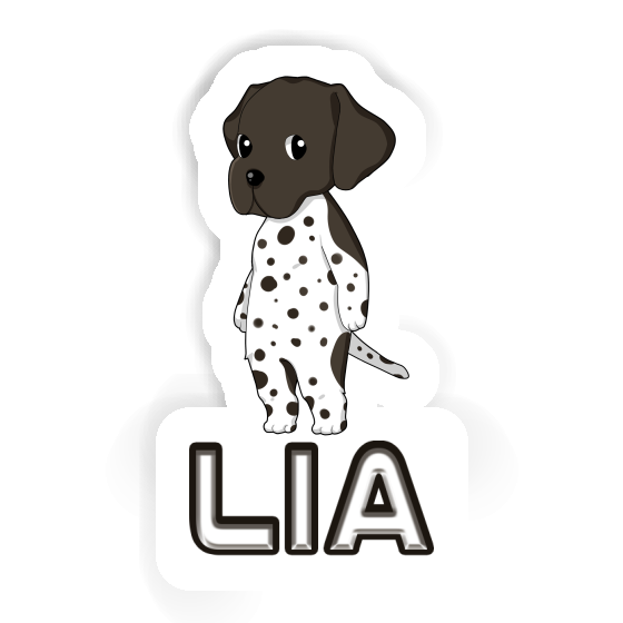 Sticker Lia German Shorthaired Pointer Gift package Image