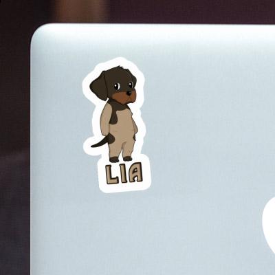 Sticker German Wirehaired Lia Notebook Image