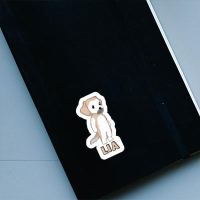 Autocollant Lia Golden Retriever Notebook Image