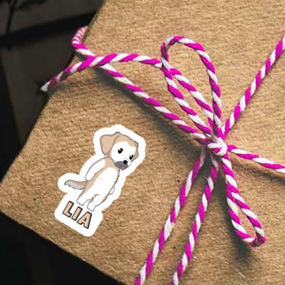 Golden Retriever Sticker Lia Gift package Image