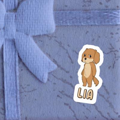 Sticker Hovawart Lia Gift package Image