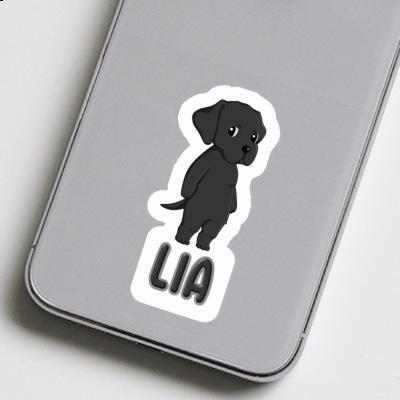 Labrador Sticker Lia Gift package Image