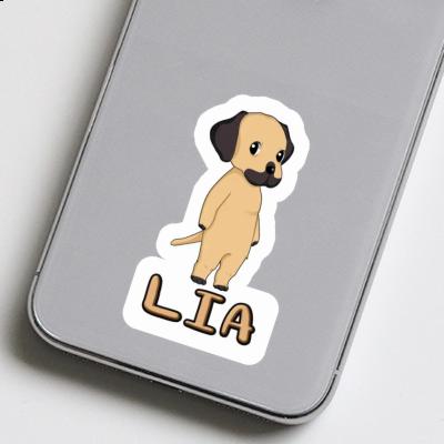 Lia Aufkleber Rhodesian Ridgeback Gift package Image