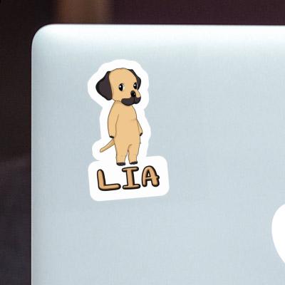 Lia Sticker Rhodesian Ridgeback Gift package Image