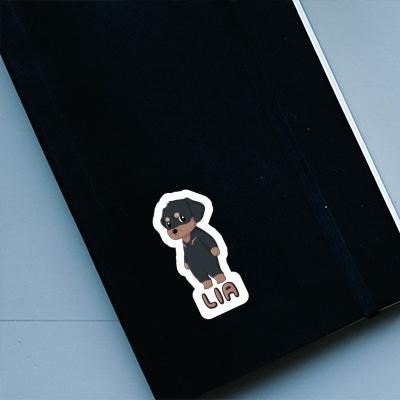 Lia Sticker Rottweiler Gift package Image