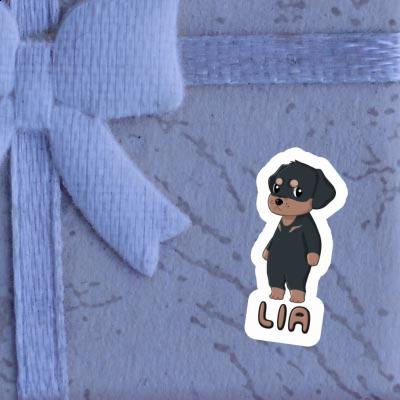 Lia Autocollant Rottweiler Gift package Image