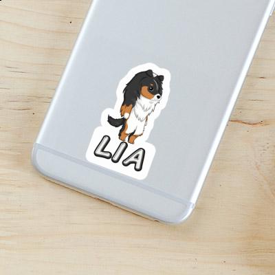 Lia Sticker Shetland Sheepdog Laptop Image