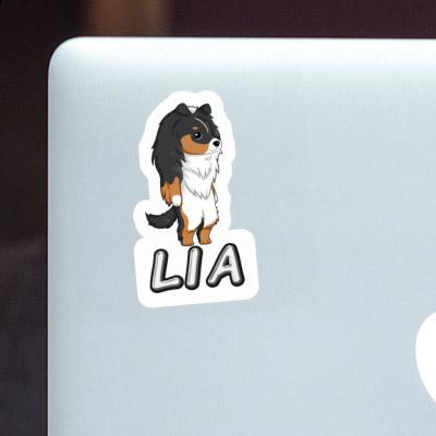 Lia Sticker Shetland Sheepdog Gift package Image