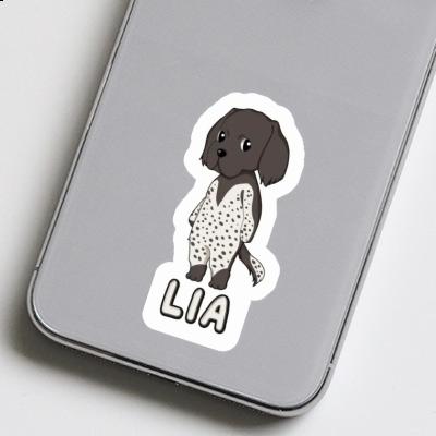 Sticker Münsterländer Lia Gift package Image